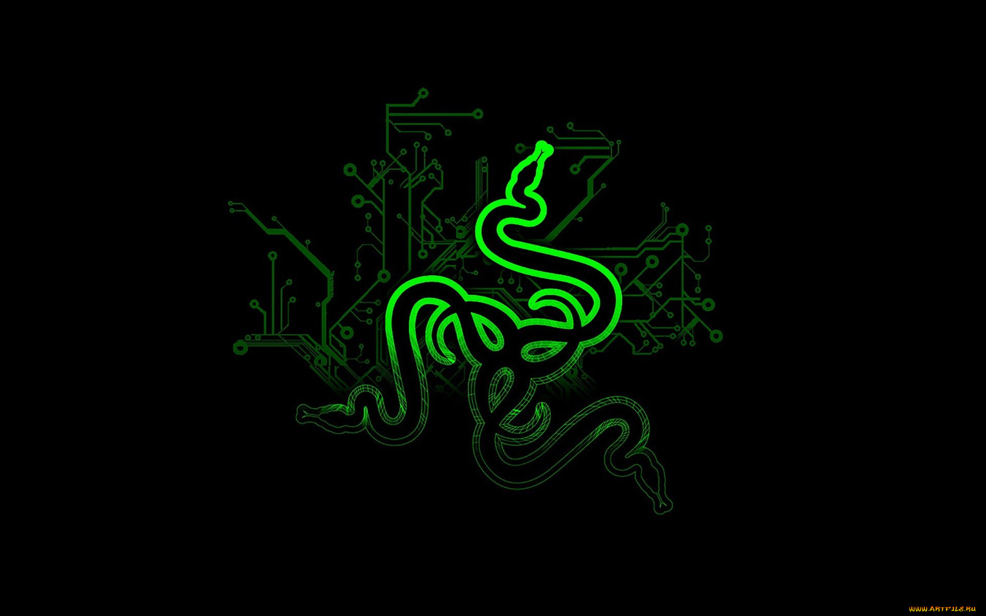 , razer, , 